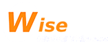 logo wise in white